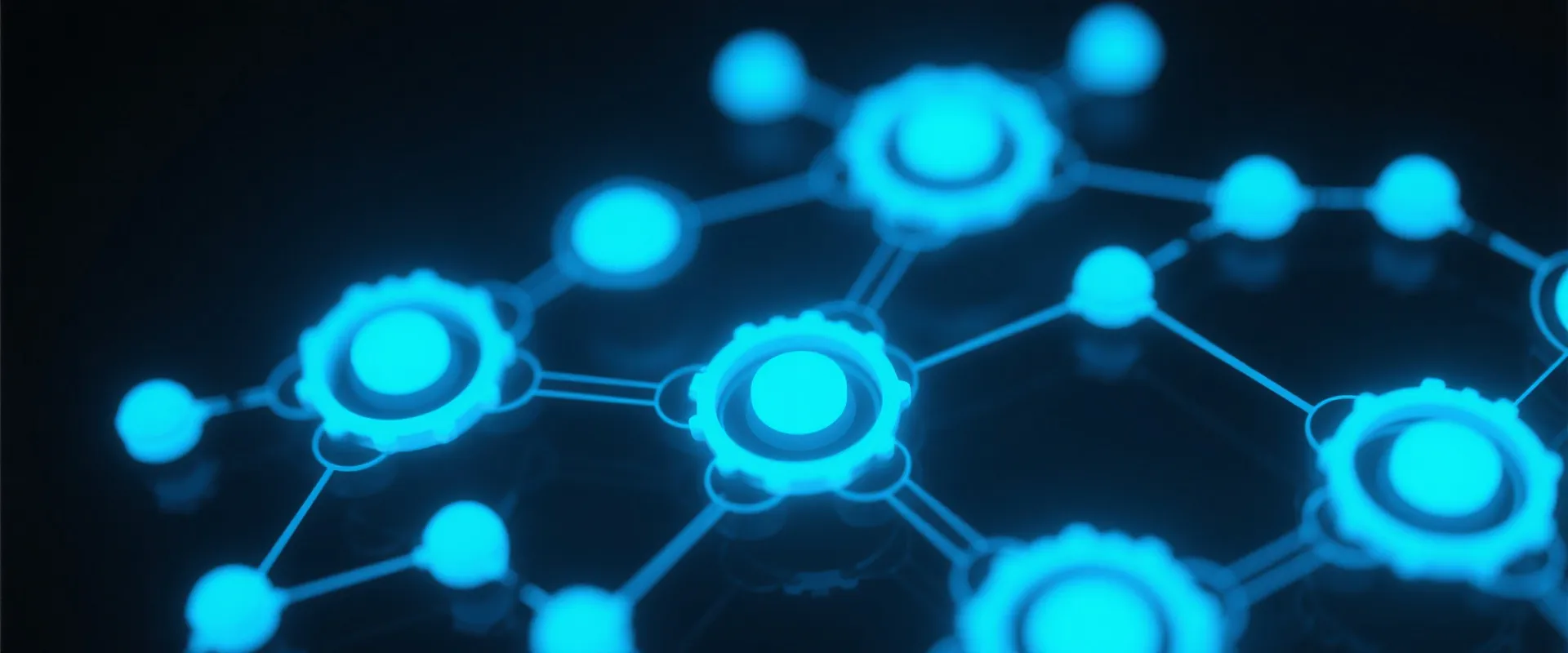 Digital Security Network